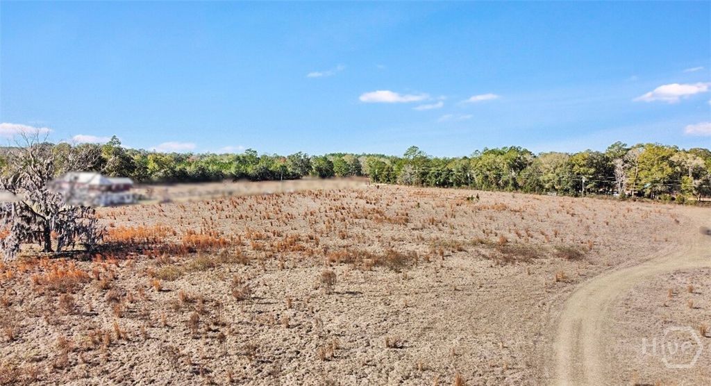 Photo of 0 Sylvester Drive, Nahunta, GA 31553 (MLS # SA346840)