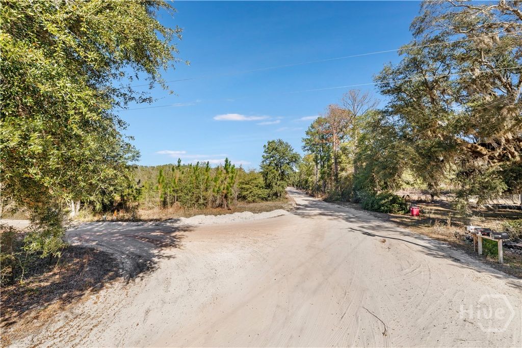 Photo of 0 Sylvester Drive, Nahunta, GA 31553 (MLS # SA346840)