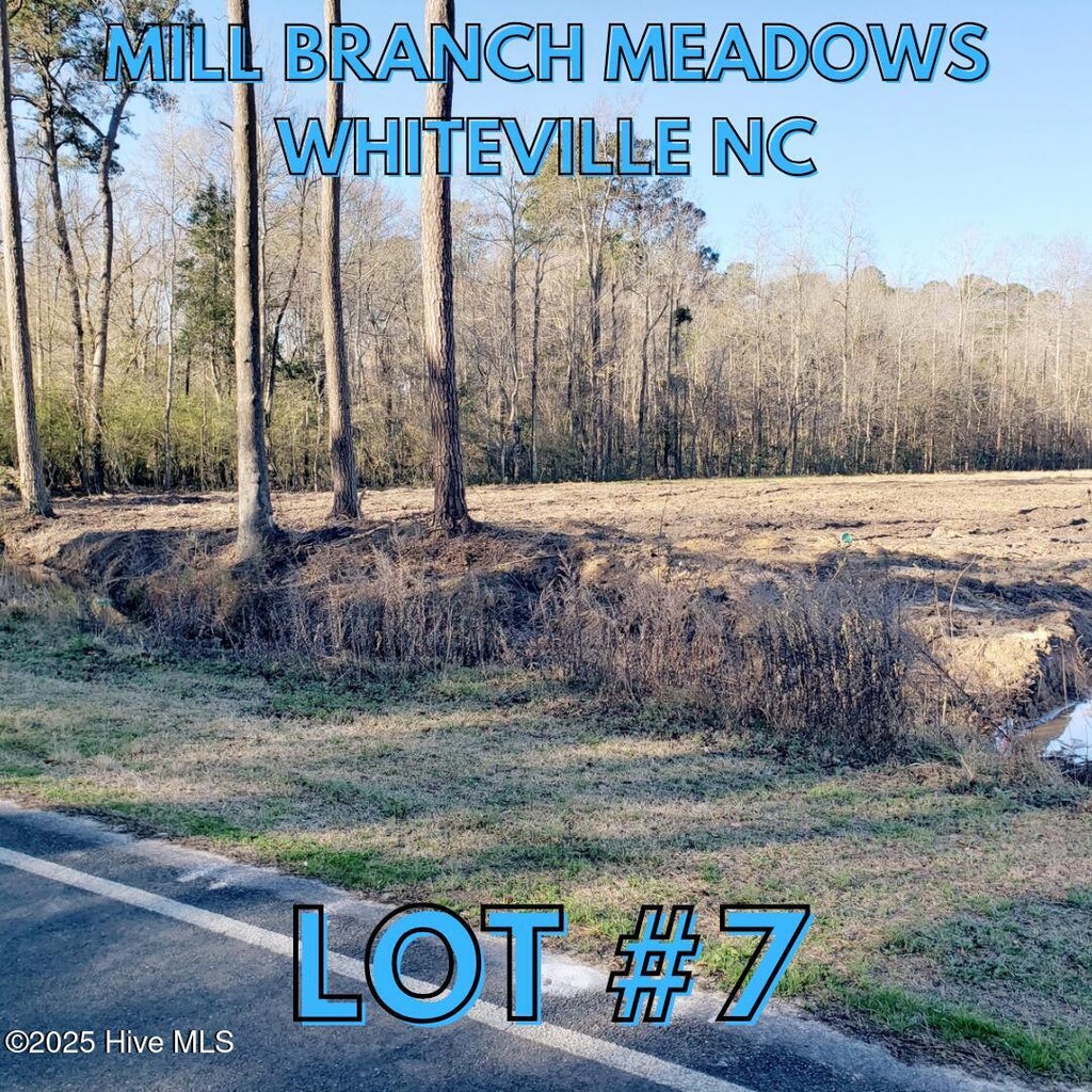 Photo of 1834 Harrelsonville Road, Whiteville, NC 28472 (MLS # 100612539)