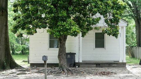 Homes For Sale - 905 Pender Street<br/> Edgecombe County, Rocky Mount, NC 27801