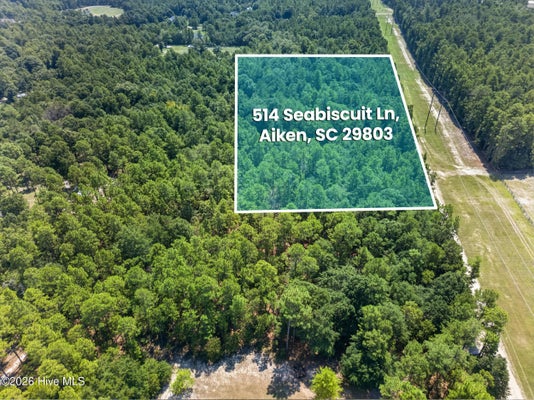 514 SEABISCUIT LN, AIKEN, SC 29803 - Image 55c8e355f5e3f0890fd3748468ca351b/4110897868