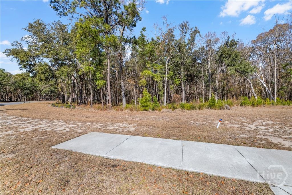 Photo of 154 Wood Haven Lane, Pooler, GA 31322 (MLS # SA350599)