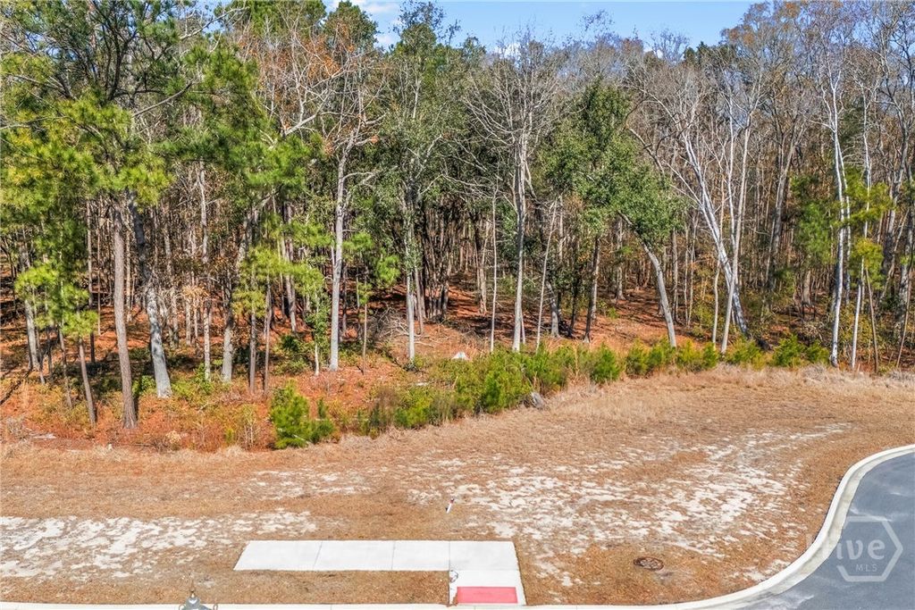 Photo of 154 Wood Haven Lane, Pooler, GA 31322 (MLS # SA350599)