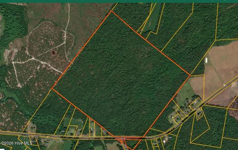 Vacant Land For Sale - LOT 1 Herring Road<br/> Rose Hill, NC 28458