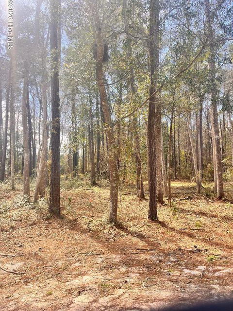 Photo of 565 Third Street SE, Bolivia, NC 28422 (MLS # 100561002)