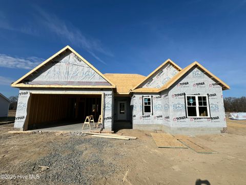 Photo of 311 Creeks Edge Drive, Pikeville, NC 27863 (MLS # 100546085)