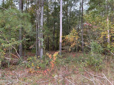 Vacant Land For Sale - TRACT 1 Matilda Drive<br/> Lumberton, NC 28360