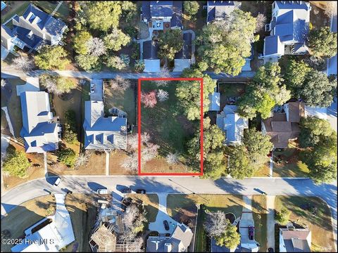 Photo of 5104 Hollow Tree Drive, Southport, NC 28461 (MLS # 100544929)