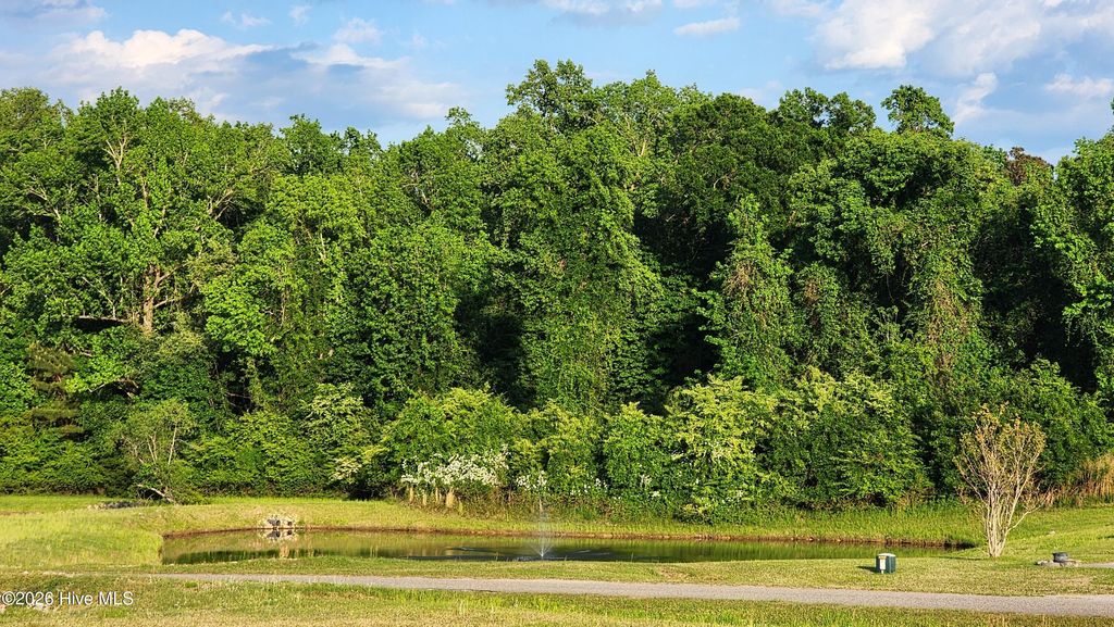 Photo of 55 Misty Lane, Whiteville, NC 28472 (MLS # 100568216)