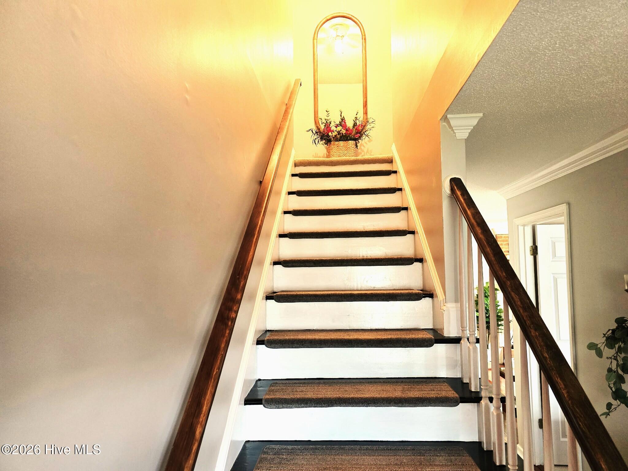 2903 Pleasant Cove Court