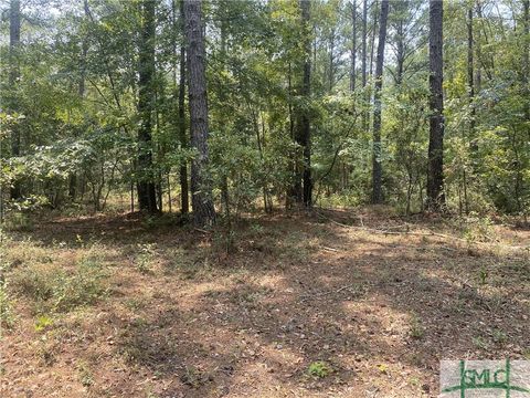 Vacant Land For Sale - 0 (TRACT #1) Indigo Road<br/> Springfield, GA 31329
