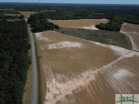 Vacant Land For Sale - 14.12 AC Middleground Road<br/> Bulloch County, Statesboro, GA 30461