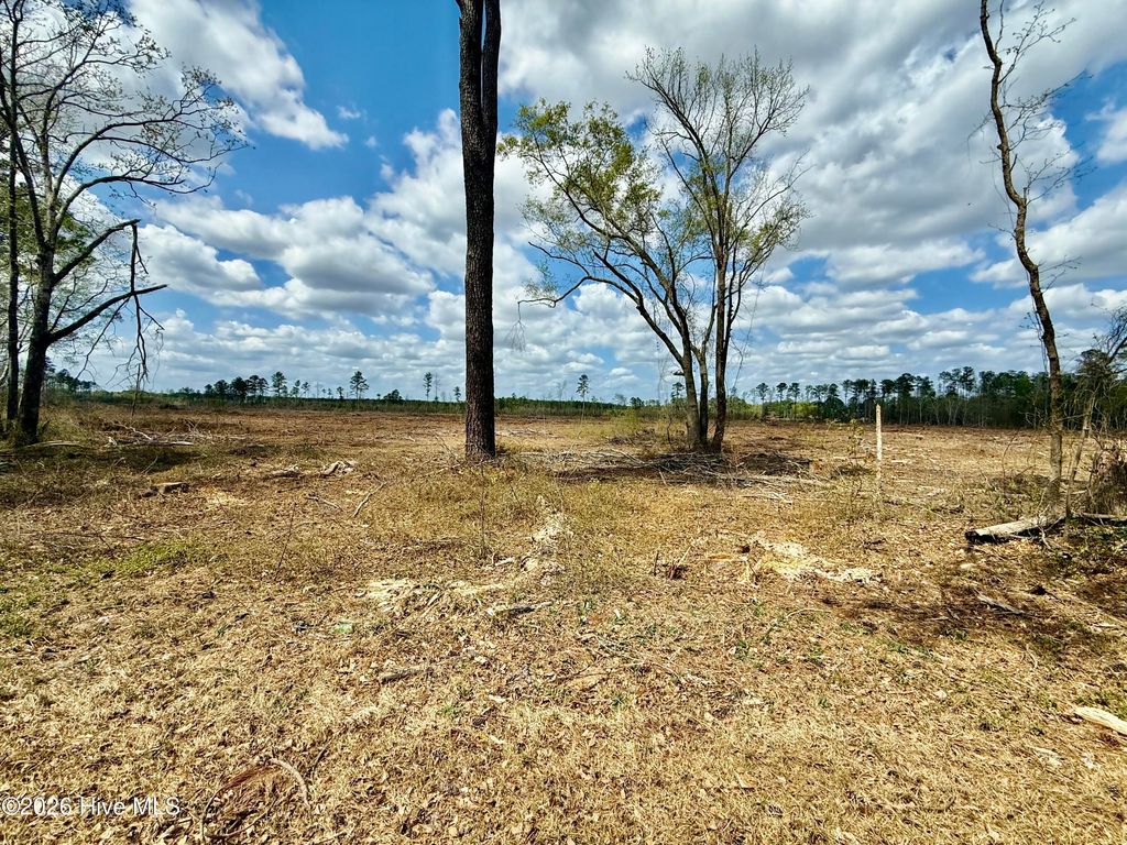 Photo of Tbd Old Lowery Rd, Red Springs, NC 28377 (MLS # 100565778)