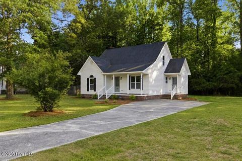 Photo of 127 Hillingdale Drive, Washington, NC 27889 (MLS # 100576665)