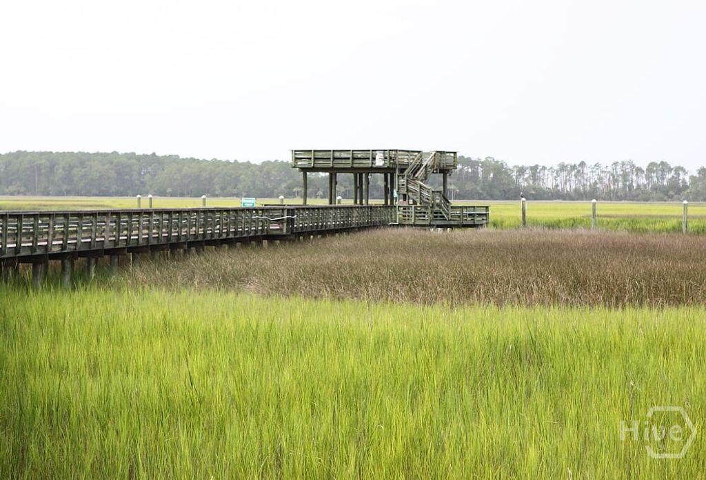 Photo of 12300 Apache Avenue, Savannah, GA 31419 (MLS # SA350955)