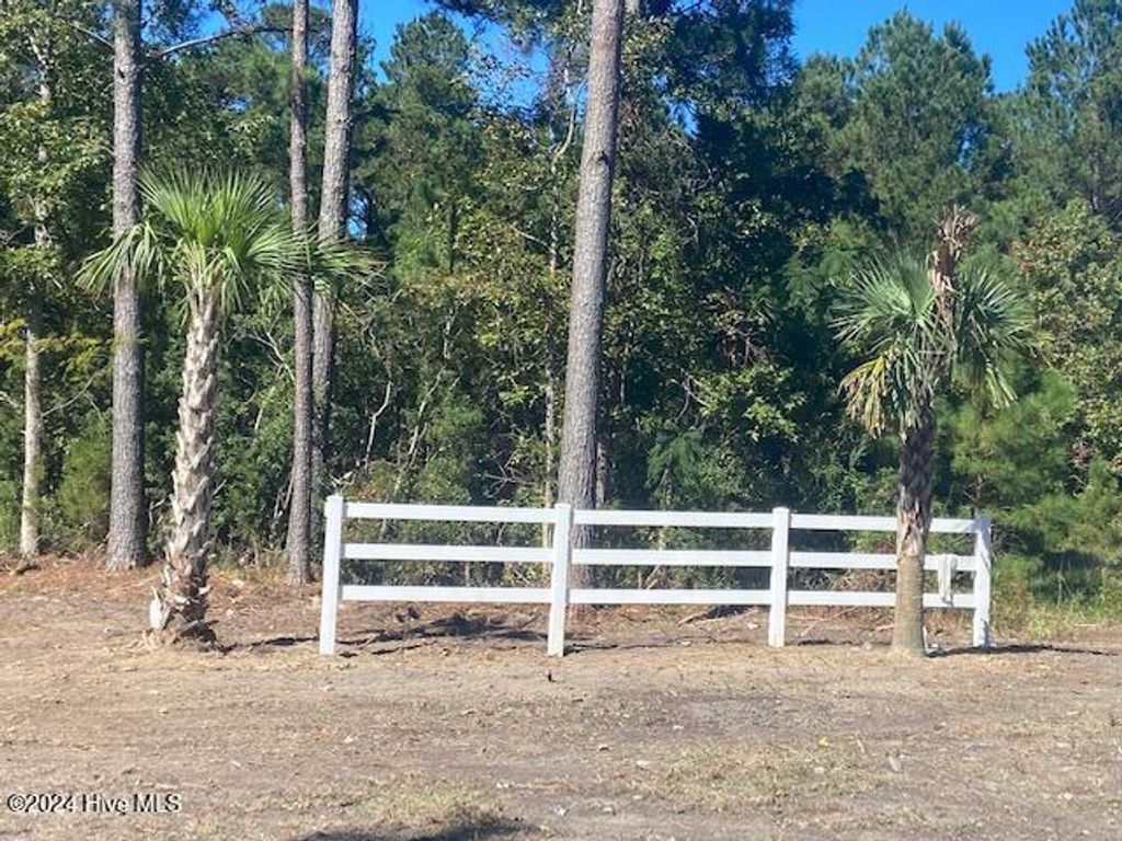 Photo of 369 Randolphville Road NE, Bolivia, NC 28422 (MLS # 100481021)