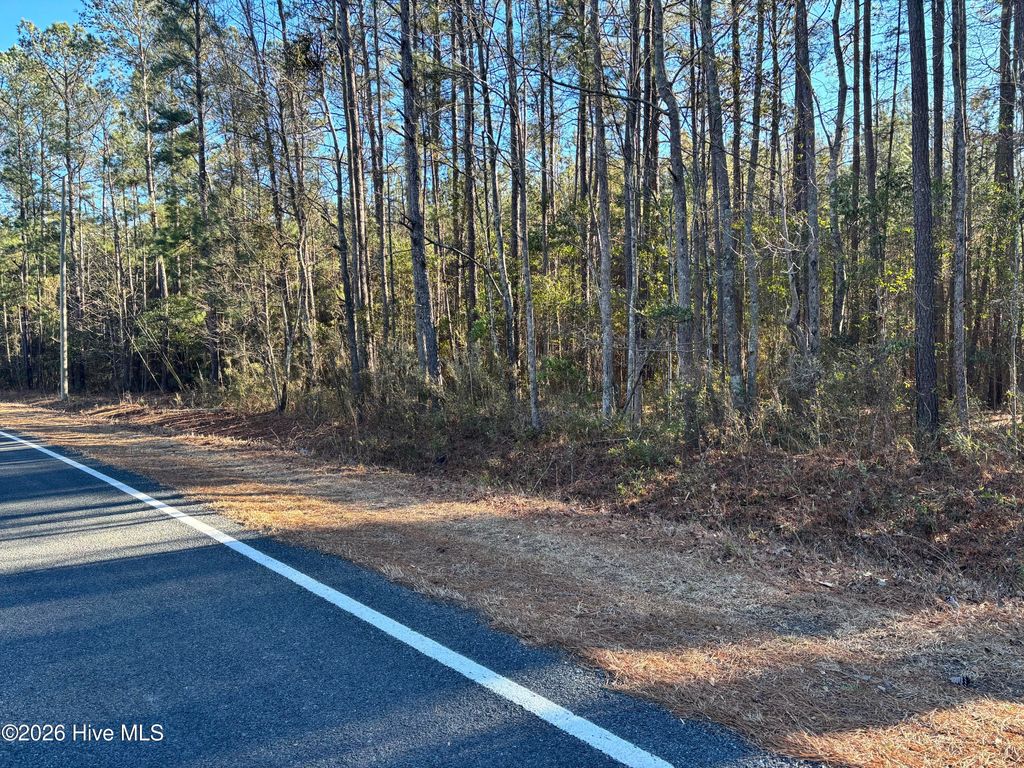 Photo of 0 Biggs Road, Rowland, NC 28383 (MLS # 100566871)