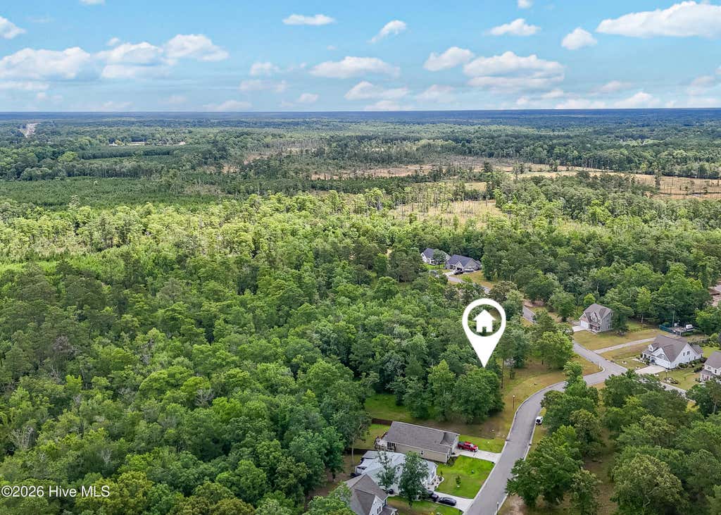 Photo of 535 N Wild Rice Drive SW, Supply, NC 28462 (MLS # 100582501)