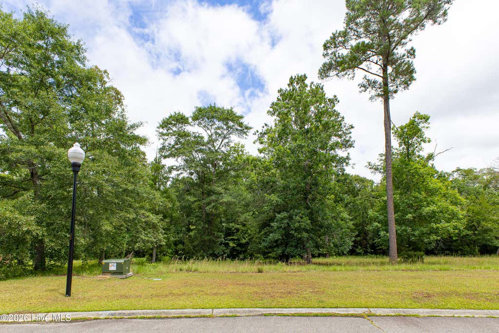 Photo of 535 N Wild Rice Drive SW, Supply, NC 28462 (MLS # 100582501)