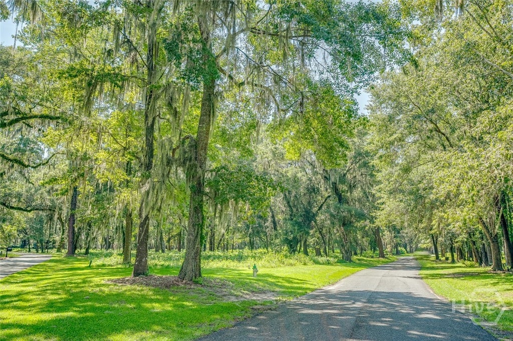 Photo of 777 Silk Hope Drive, Richmond Hill, GA 31324 (MLS # SA363428)