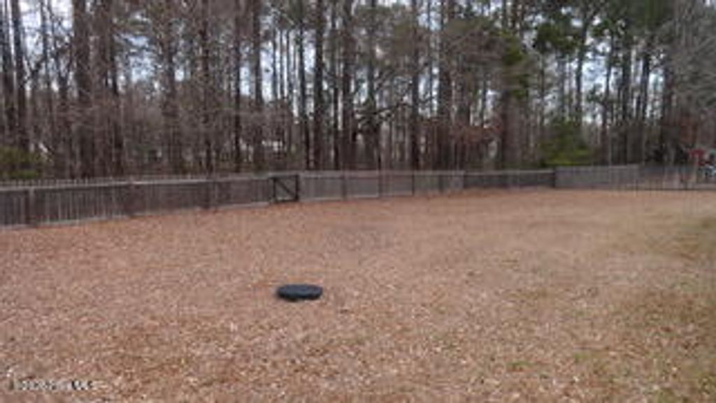 Photo of 113 Farina Drive, Havelock, NC 28532 (MLS # 100554136)