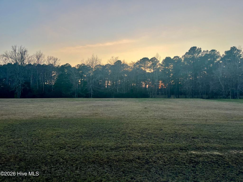 Photo of 58 Davis Field Court, Oriental, NC 28571 (MLS # 100559191)