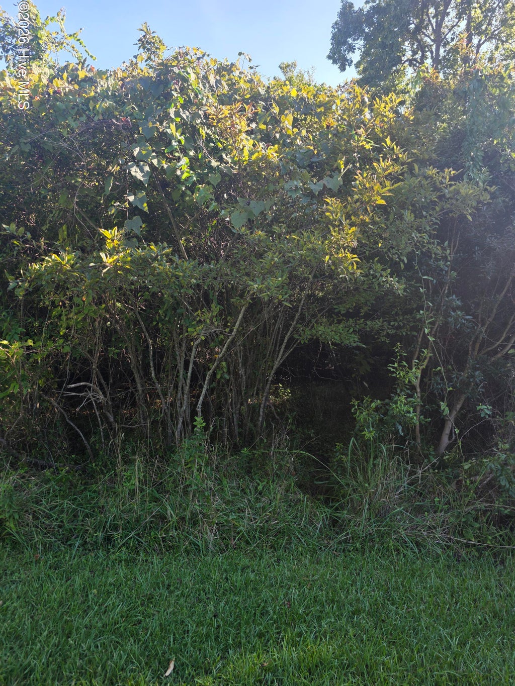 Photo of 1927 Calypso Street SW, Supply, NC 28462 (MLS # 100602133)