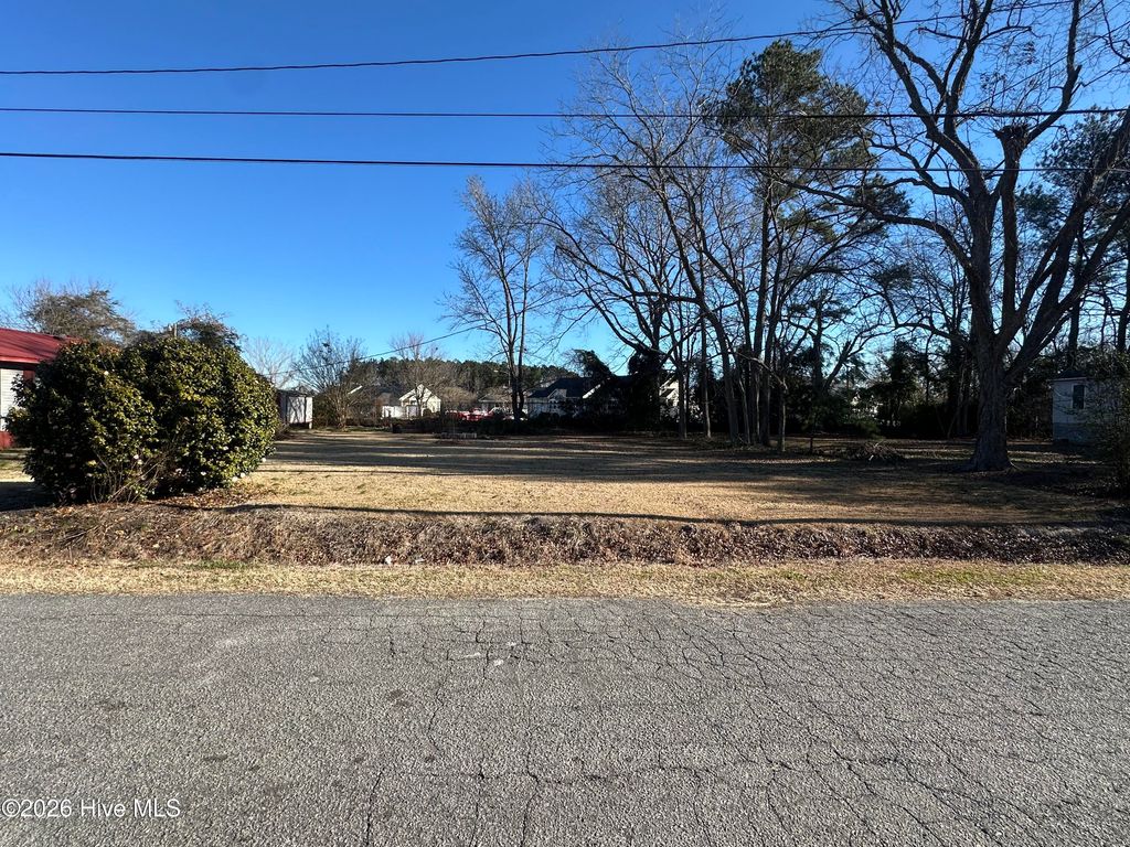 Photo of 0 W Pantego Street, Belhaven, NC 27810 (MLS # 100551857)