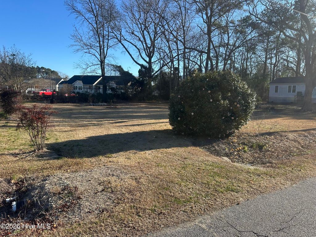 Photo of 0 W Pantego Street, Belhaven, NC 27810 (MLS # 100551857)
