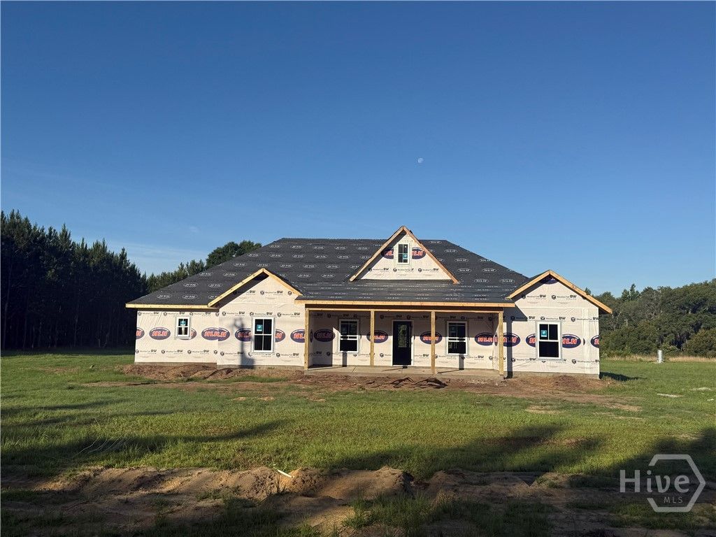 Photo of 999 NE Darwell Long Road, Ludowici, GA 31316 (MLS # SA358815)