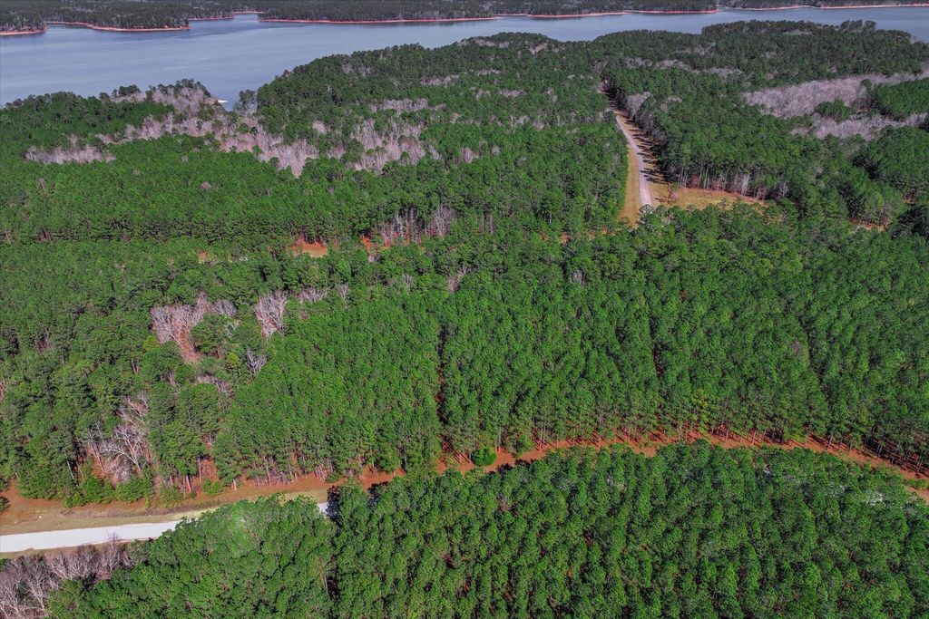 Photo of 1271 Rogers Road, Tignall, GA 30668 (MLS # 552272)