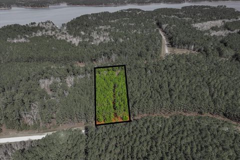 Vacant Land For Sale - 1271 Rogers Road<br/> Lincoln County, Tignall, GA 30668