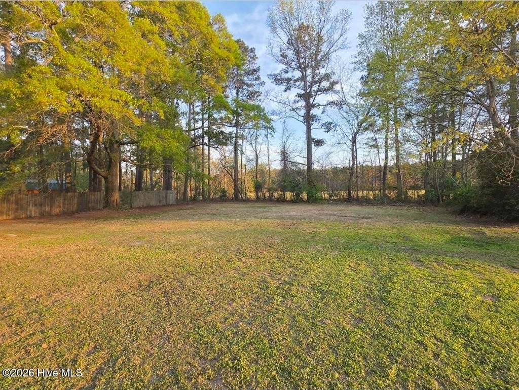 Photo of 1935 King Drive, Greenville, NC 27834 (MLS # 100563046)