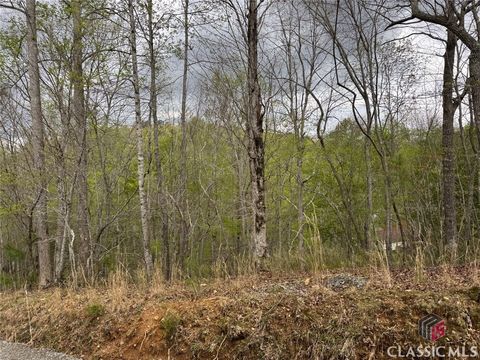 Vacant Land For Sale - Aspen Court<br/> Ellijay, GA 30540