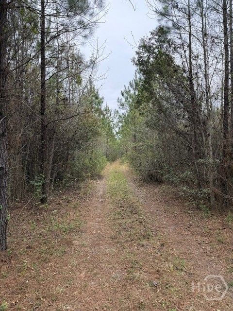 Vacant Land For Sale - 001 Race Path<br/> Rincon, GA 31326