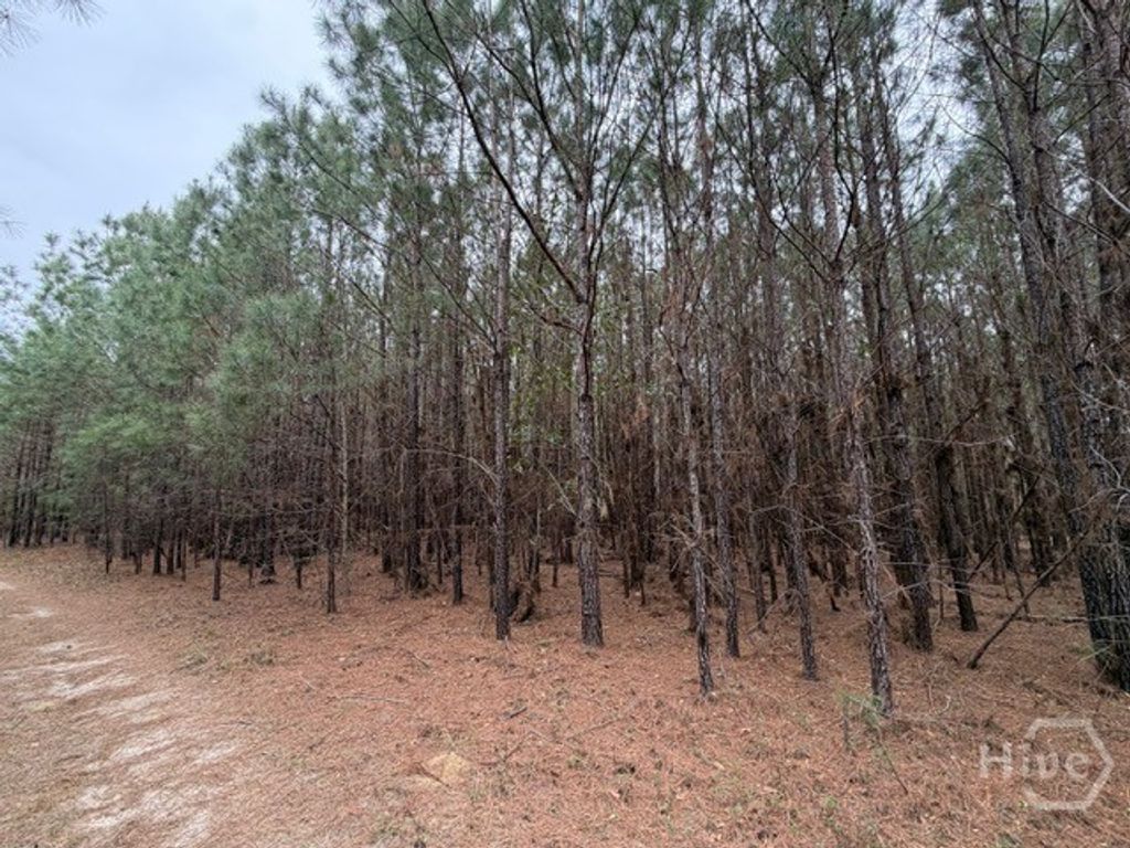 Photo of 1 RACE PATH, Rincon, GA 31326 (MLS # SA351868)