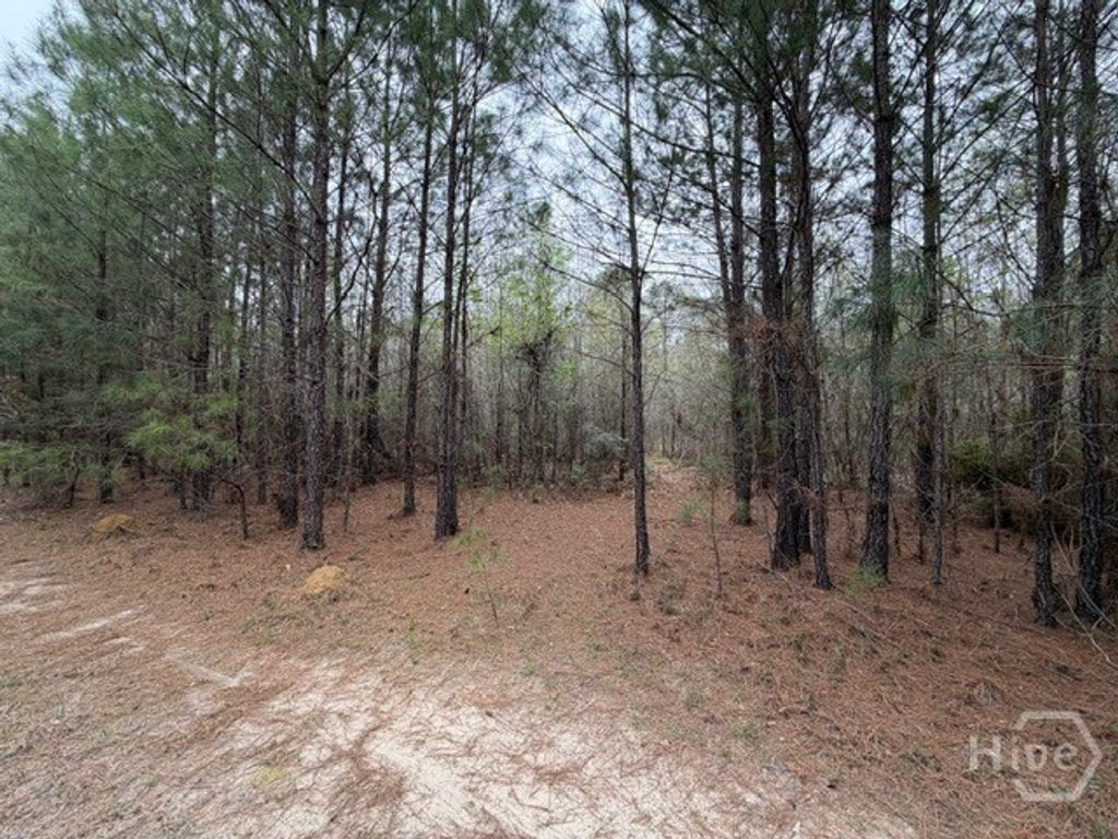 Photo of 1 RACE PATH, Rincon, GA 31326 (MLS # SA351868)