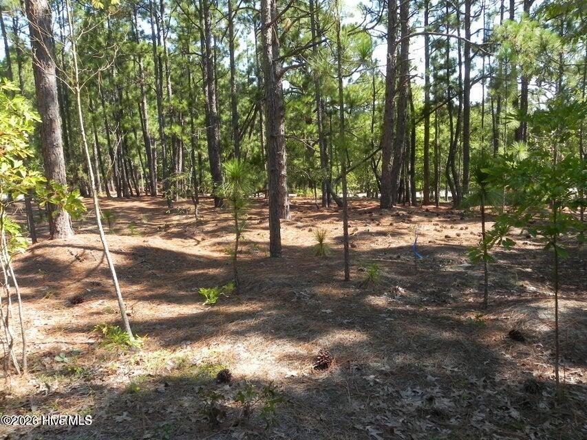 Photo of 108 Dartmoor Lane, West End, NC 27376 (MLS # 100602154)