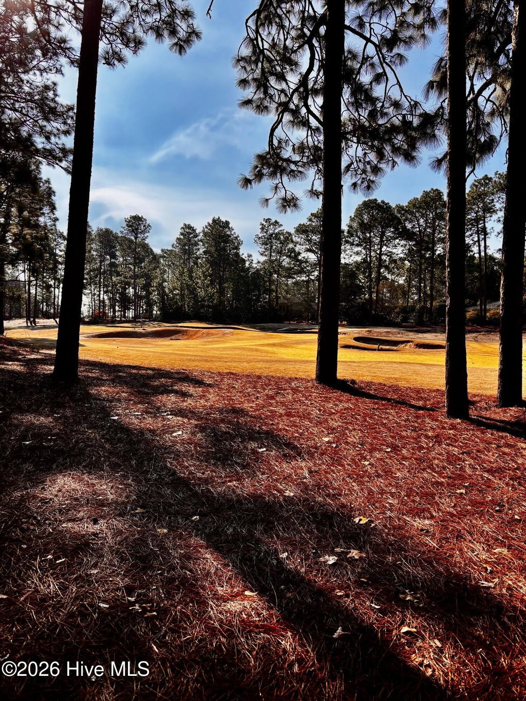 Photo of 3 Greenock Court, Pinehurst, NC 28374 (MLS # 100553310)