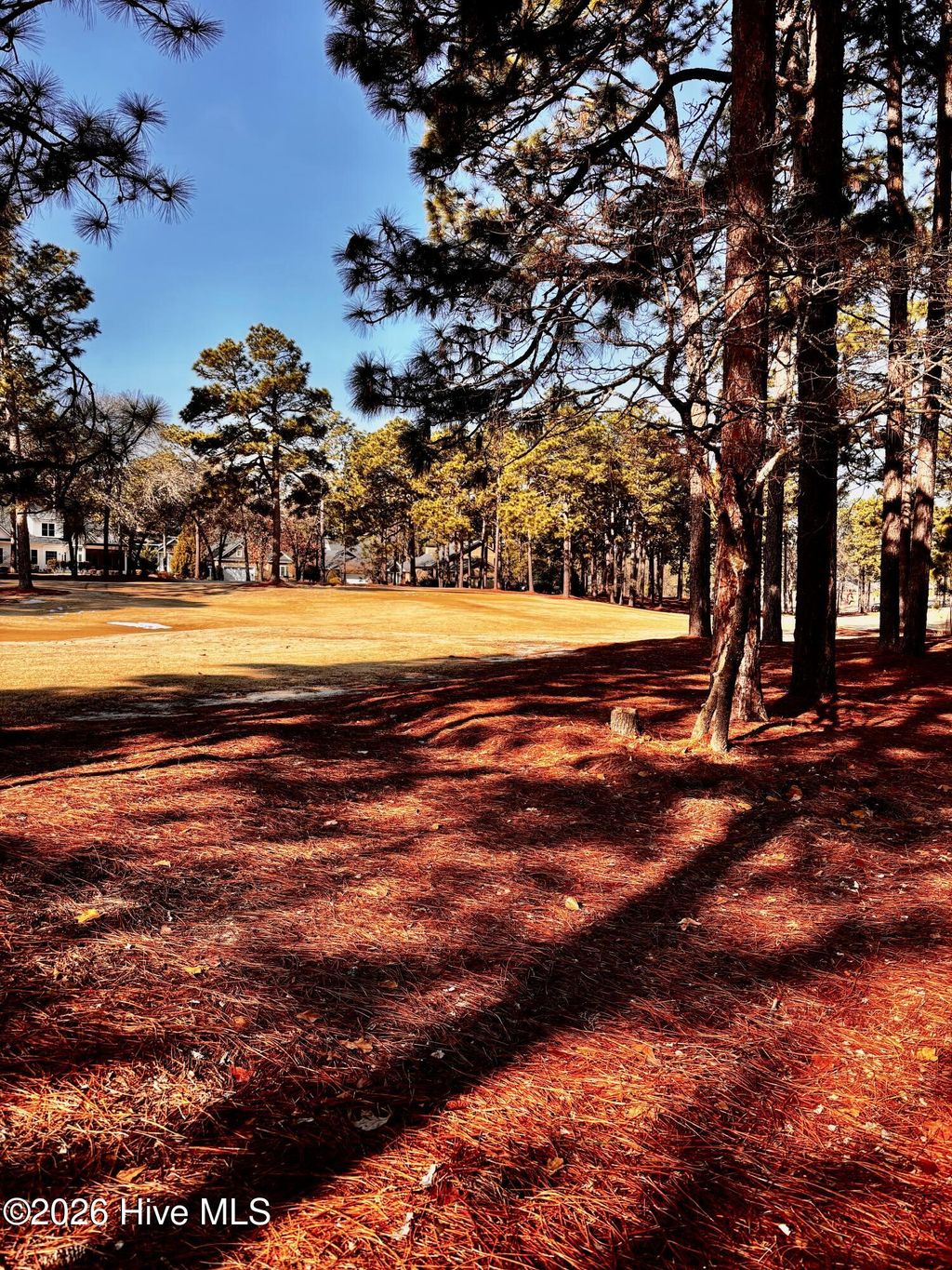 Photo of 3 Greenock Court, Pinehurst, NC 28374 (MLS # 100553310)