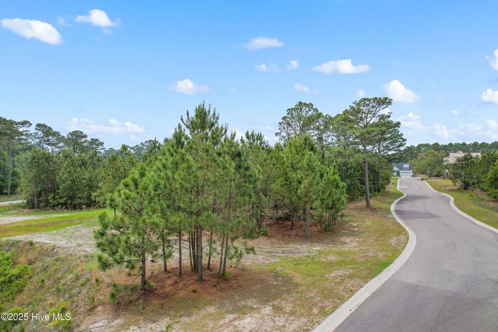 Photo of 6087 Martinique Street SW, Shallotte, NC 28470 (MLS # 100503428)