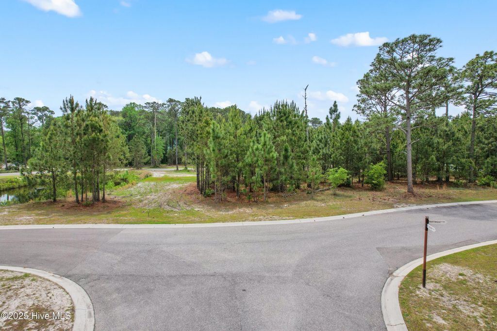 Photo of 6087 Martinique Street SW, Shallotte, NC 28470 (MLS # 100503428)