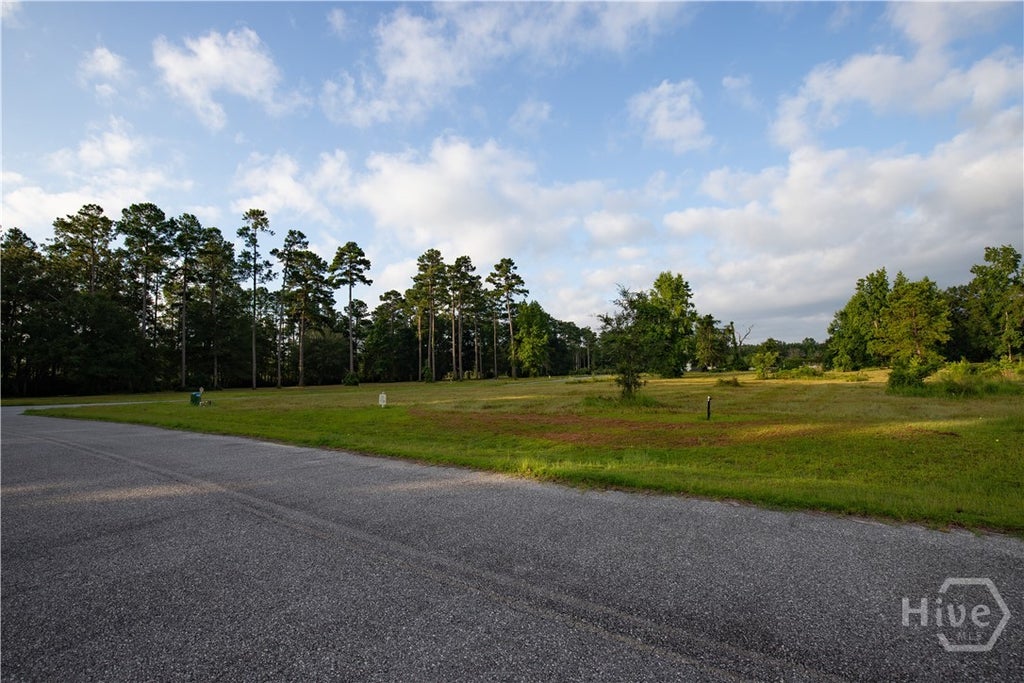 Photo of 24 River View Court NE, Townsend, GA 31331 (MLS # SA365191)
