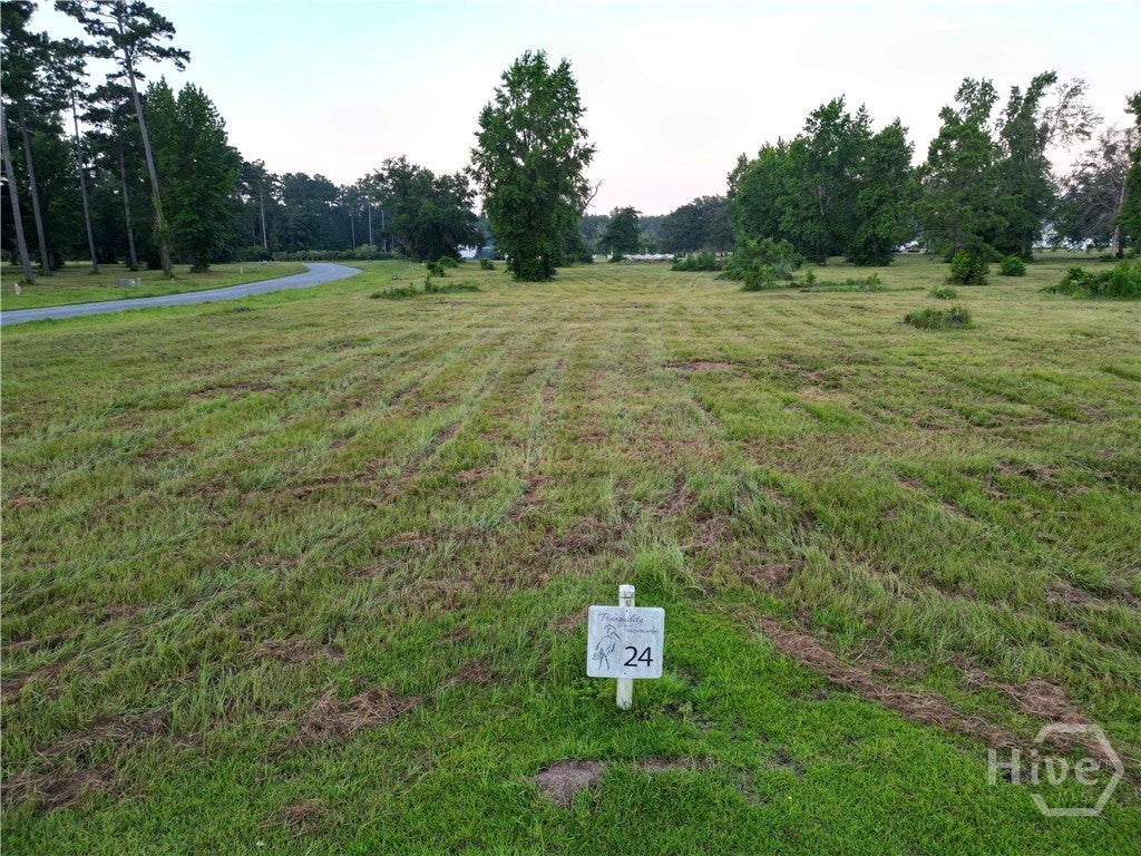 Photo of 24 River View Court NE, Townsend, GA 31331 (MLS # SA365191)