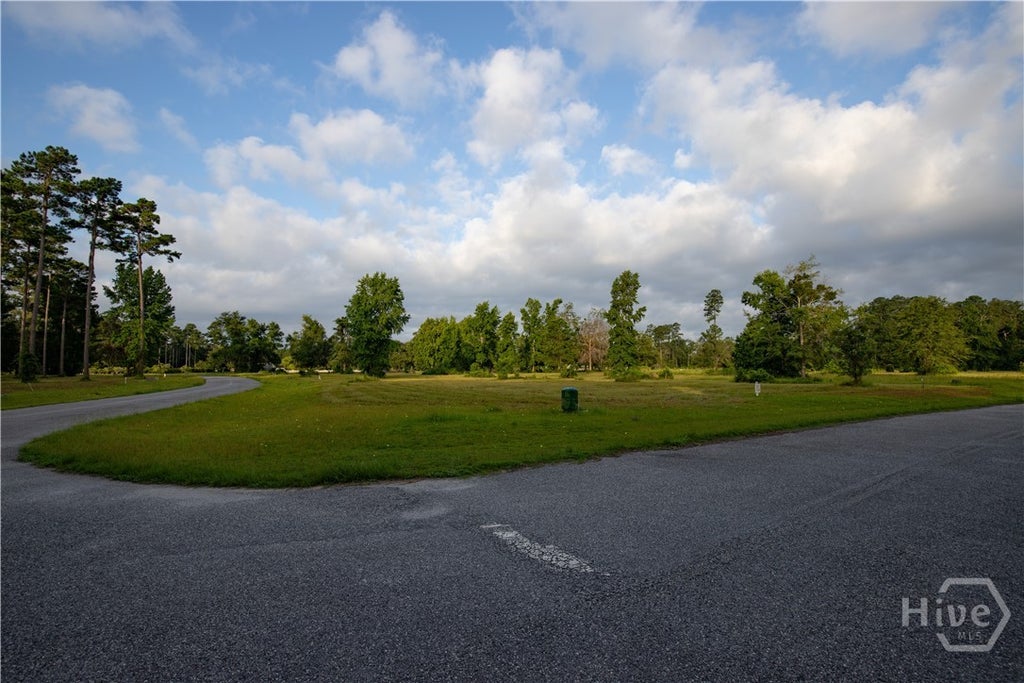 Photo of 24 River View Court NE, Townsend, GA 31331 (MLS # SA365191)