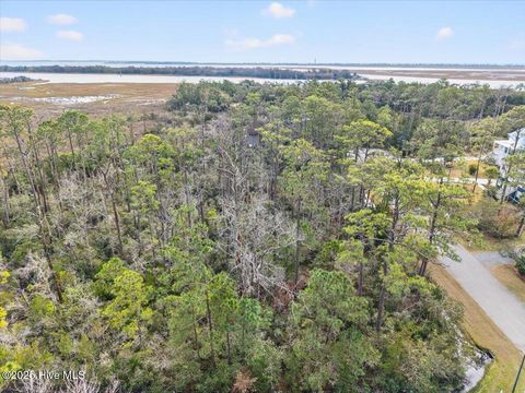 Tiny photo for 50 Carolina Bay Court, Southport, NC 28461 (MLS # 100545005)
