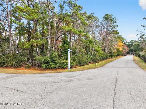 Tiny photo for 50 Carolina Bay Court, Southport, NC 28461 (MLS # 100545005)
