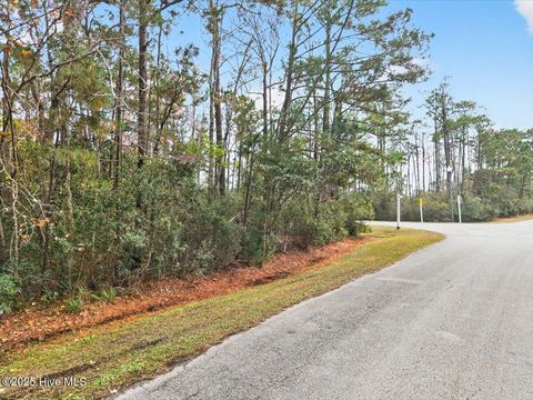 Tiny photo for 50 Carolina Bay Court, Southport, NC 28461 (MLS # 100545005)