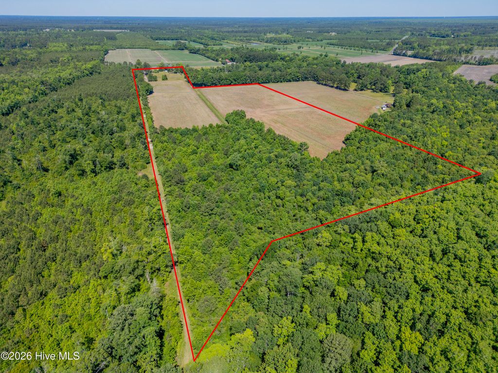 Photo of 9851 Hallsboro Road S, Whiteville, NC 28472 (MLS # 100575246)