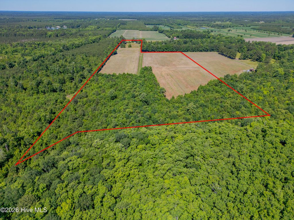 Photo of 9851 Hallsboro Road S, Whiteville, NC 28472 (MLS # 100575246)